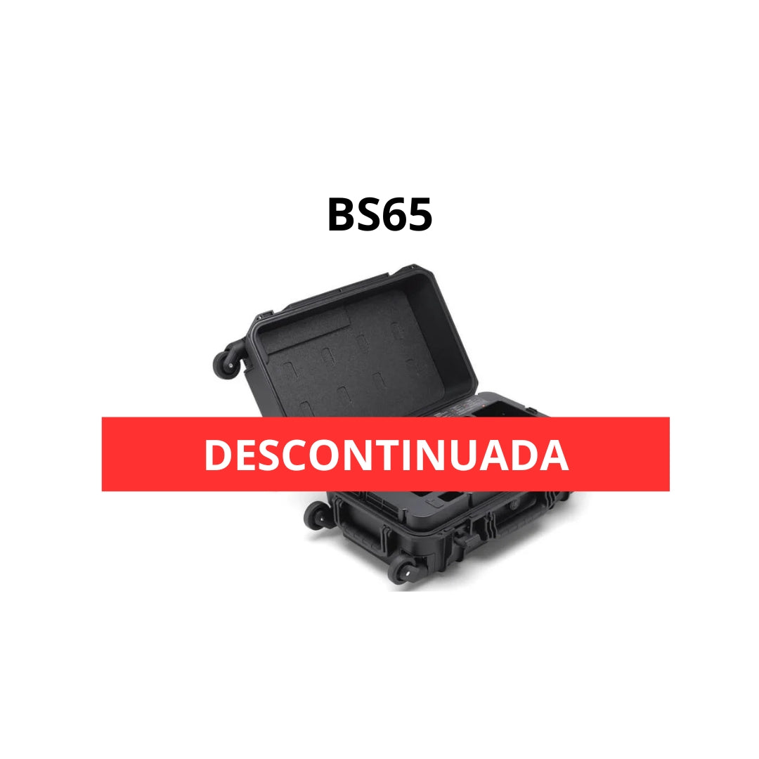 Estación de carga inteligente BS65